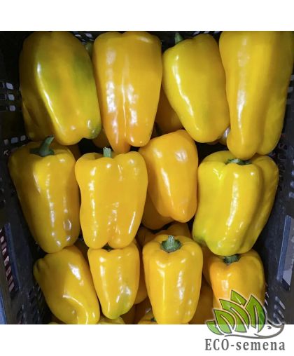 Перец сладкий Голден Император F1 United Genetics/Италия 8 шт Перец сладкий Голден Император F1 United Genetics/Италия 8 шт