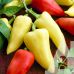 Перец сладкий Белозерка GL Seeds 0,25 г