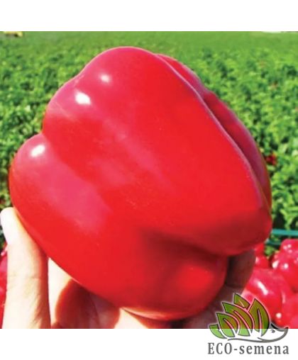 Перец сладкий Геракл (позднеспелый) 0,2 г Перец сладкий Геракл (позднеспелый) 0,2 г