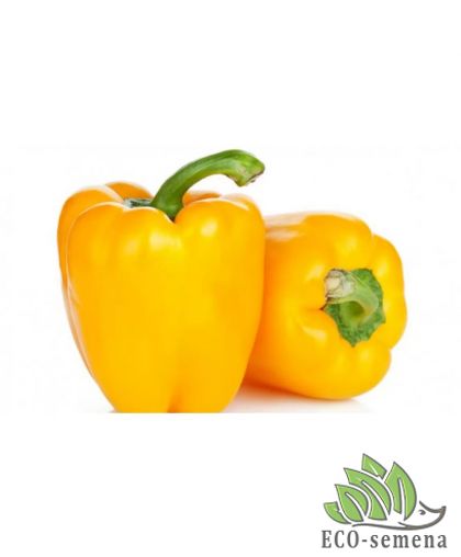 Перец сладкий Желтый квадрат (среднеспелый) 0,2 г Перец сладкий Желтый квадрат (среднеспелый) 0,2 г