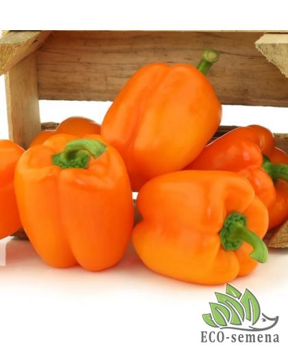 Перец сладкий Оранжевый квадрат (среднеспелый) 0,2 г Перец сладкий Оранжевый квадрат (среднеспелый) 0,2 г