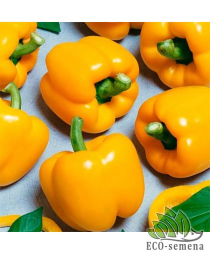 Перец сладкий Золотой фазан (толстостенный) 0,2 г Перец сладкий Золотой фазан (толстостенный) 0,2 г