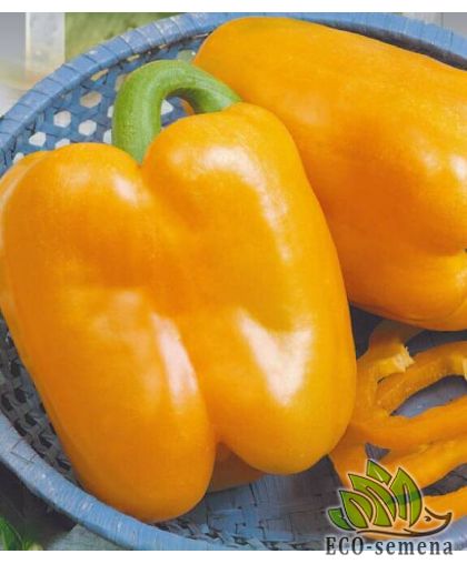 Перец сладкий Золотой телец (среднеспелый) 0,2 г Перец сладкий Золотой телец (среднеспелый) 0,2 г