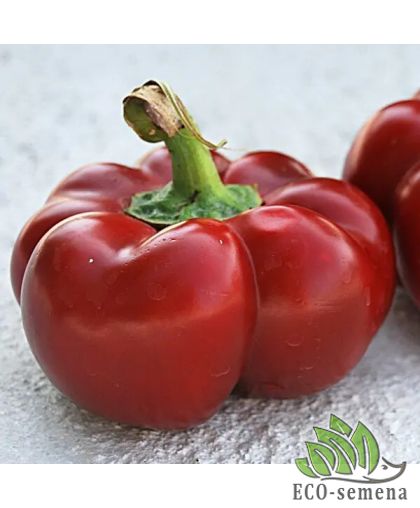 Перец сладкий Новогогошары красный 0,2 г Перец сладкий Новогогошары красный 0,2 г