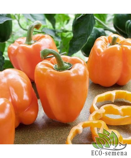 Перец сладкий Абрикосовая Фаворитка 0,25 г Перец сладкий Абрикосовая Фаворитка 0,25 г