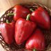 Перец сладкий Сударь GL Seeds 0,25 г Перец сладкий Сударь GL Seeds 0,25 г