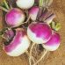 Семена Репа Розовая скороспелая Флорамаркет 0.5 г Семена Репа Розовая скороспелая Флорамаркет 0.5 г