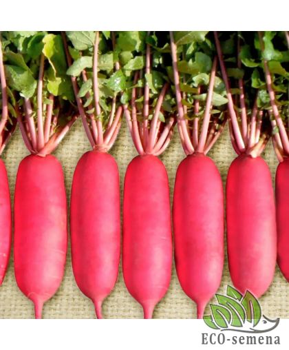 Редька Дайкон Шай F1 Профессиональные семена 20 шт