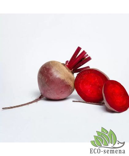 Свекла столовая Воевода (среднеспелая) 20 г