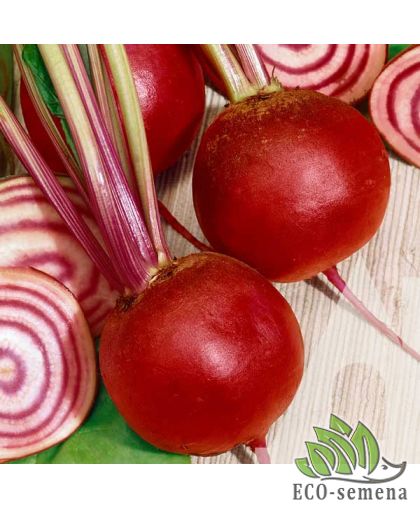 Свекла столовая Киоджа Suba Seeds/Италия 10 г Свекла столовая Киоджа Suba Seeds/Италия 10 г