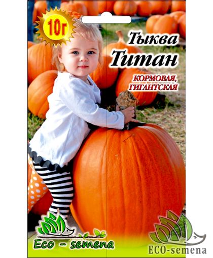 Тыква Титан крупноплодная 10 г Тыква Титан крупноплодная 10 г