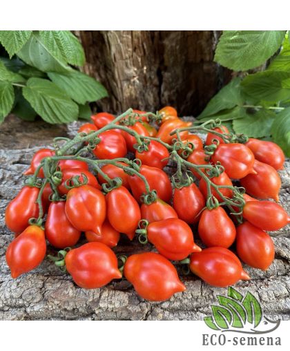 Томат Пьеноло дель Везувио (Piennolo del Vesuvio) (высокорослый) 20 шт