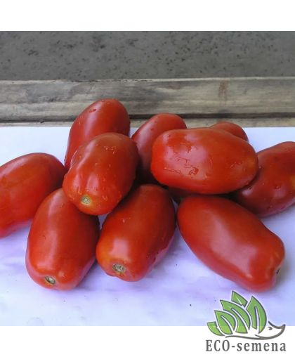 Томат Инкас F1 (низкорослая сливка) Nunhems Zaden 10 шт Томат Инкас F1 (низкорослая сливка) Nunhems Zaden 10 шт