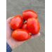 Томат 3402 F1 Spark Seeds/США 10 шт Томат 3402 F1 Spark Seeds/США 10 шт