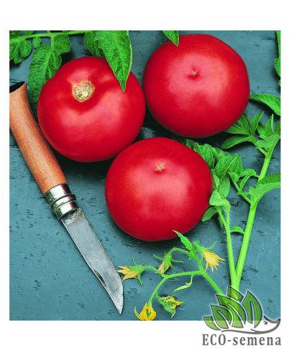 Томат Ольга F1 Nickerson Zwaan/Нидерланды 15 шт
