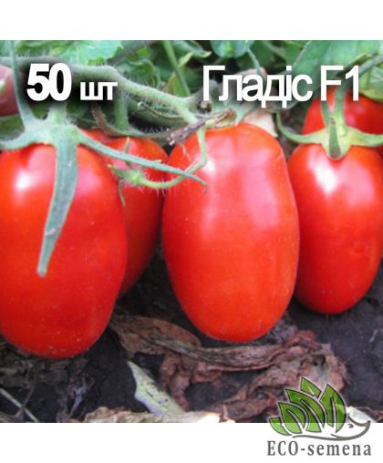 Томат Гладис F1 (низкорослая сливка) 50 шт