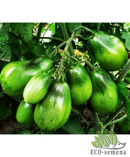 Томат Изумрудная груша (высокорослый) 0,1 г Томат Изумрудная груша (высокорослый) 0,1 г