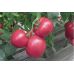 Томат Пинк розовый Hortus/Италия 0,3 г