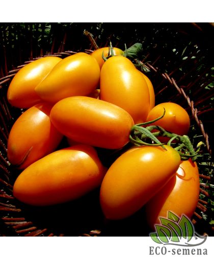 Томат Банан оранжевый (мясистый) 0,1 г