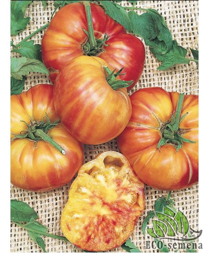 Томат Большая Радуга (Хамелеон) 0,1 г Томат Большая Радуга (Хамелеон) 0,1 г