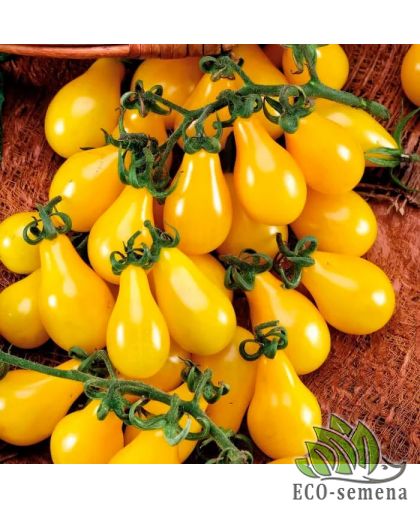 Томат Грушевидный черри желтый (высокорослый) 0,1 г