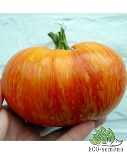 Томат Королевская красота (высокорослый) 0,1 г Томат Королевская красота (высокорослый) 0,1 г