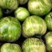 Томат Зебра белая GL Seeds 0,15 г