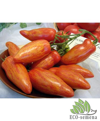 Тома Перцевидный полосатый (высокорослый) 0,1 г Тома Перцевидный полосатый (высокорослый) 0,1 г