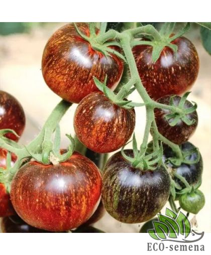 Томат Темная галактика 25 шт (zip-paket)