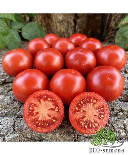 Томат Чайка (низкорослый) 0,1 г