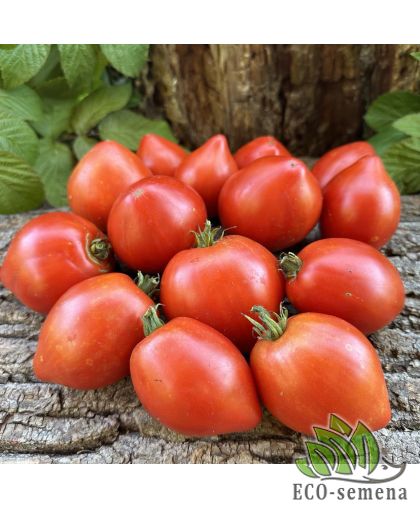 Томат Курносик (низкорослый) 0,1 г Томат Курносик (низкорослый) 0,1 г