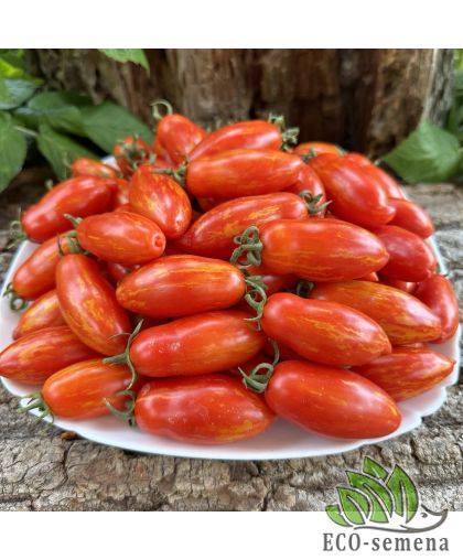 Томат Перо Жар птицы (среднерослый) 0,1 г