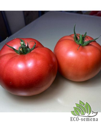 Томат Ранняя Любовь (низкорослый) 0,1 г