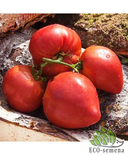 Томат Буденовка (низкорослый) 0,1 г