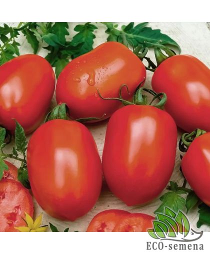 Тома Новинка Приднестровья (низкорослый) 0,1 г Тома Новинка Приднестровья (низкорослый) 0,1 г