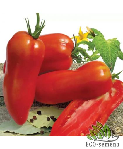 Тома Перцевидный (1.5м) 0,1 г Тома Перцевидный (1.5м) 0,1 г