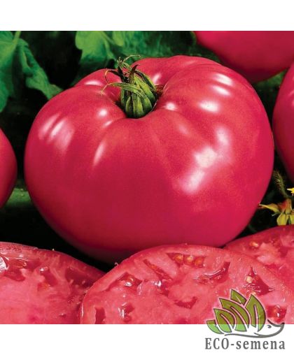 Томат Малиновый гигант (низкорослый) 0,1 г