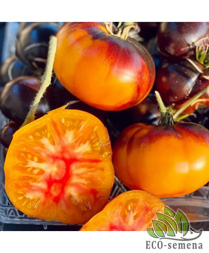 Томат Полосатый хозяин (высокорослый) 0,1 г