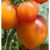 Томат Сержант Пеппер оранжевый (высокорослый) 10 шт