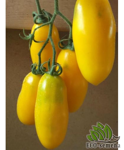 Томат Золотая рыбка (низкорослый) 10 шт