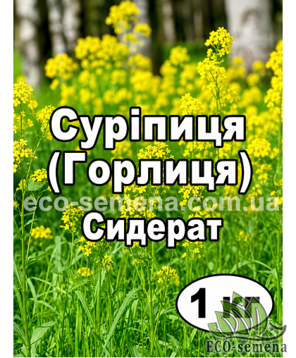 Сурепица (Горлица) на сидерат 1 кг 