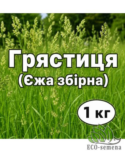 Трава Грястица (Ежа сборная) многолетняя 1 кг