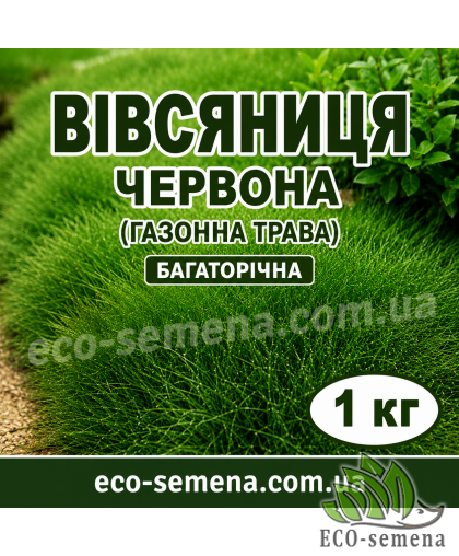 Газонная трава Овсянница Красная Украина 1 кг (на развес)