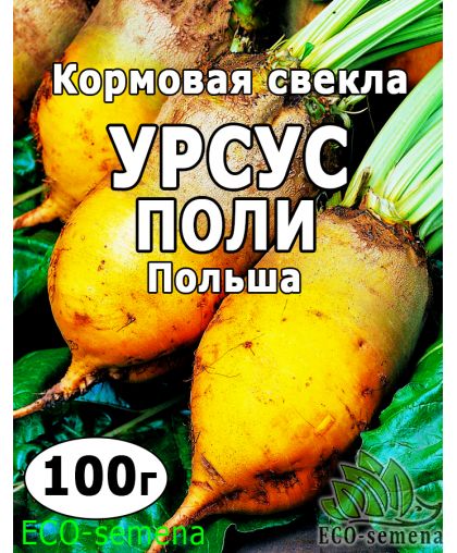 Семена Свекла кормовая Урсус Поли (желтая) Польша 100 г
