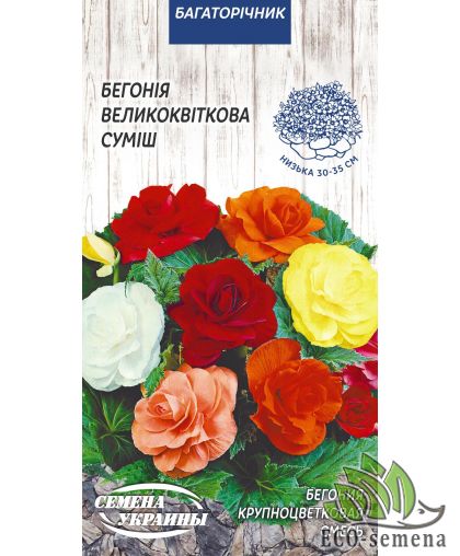Бегония Крупноцветковая смесь Семена Украины 10 шт