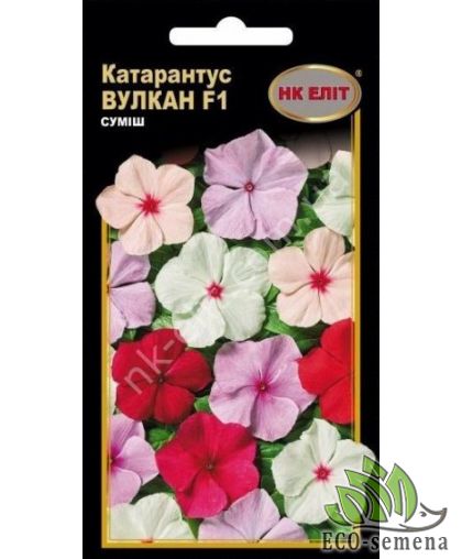 Барвинок (Катарантус) Вулкан смесь 10 шт НК Елит Барвинок (Катарантус) Вулкан смесь 10 шт НК Елит