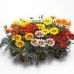 Газания Кисс mix F1 смесь GL Seeds 5 шт Газания Кисс mix F1 смесь GL Seeds 5 шт