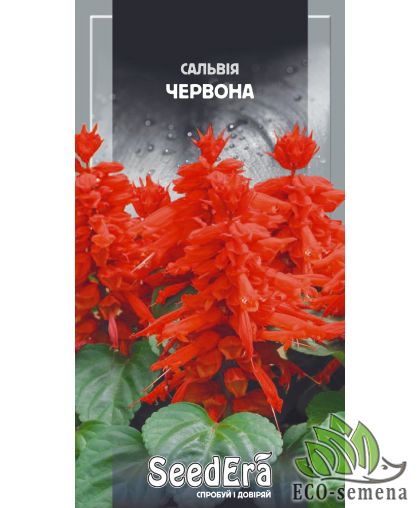 Семена Сальвия блестящая Красная SeedEra 0,1 г