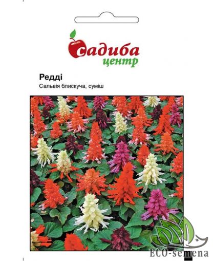 Семена Сальвия Редди (смесь) Садыба центр 20 шт