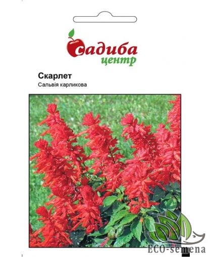 Семена Сальвия Скарлет Садыба центр 0.1 г